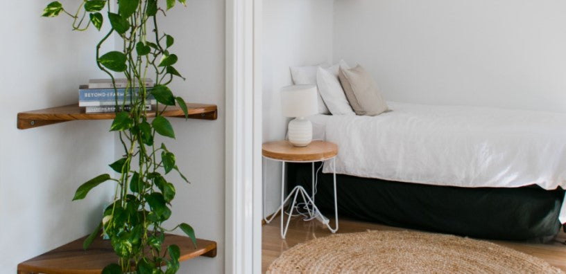 A neatly arranged bedroom with a hanging plant on the side.