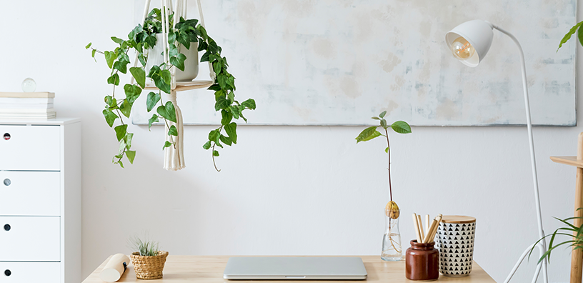 A laptop is on top of a table with a hanging plant above.