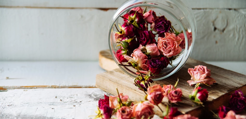 A couple of dried flowers are spilled from a vase.